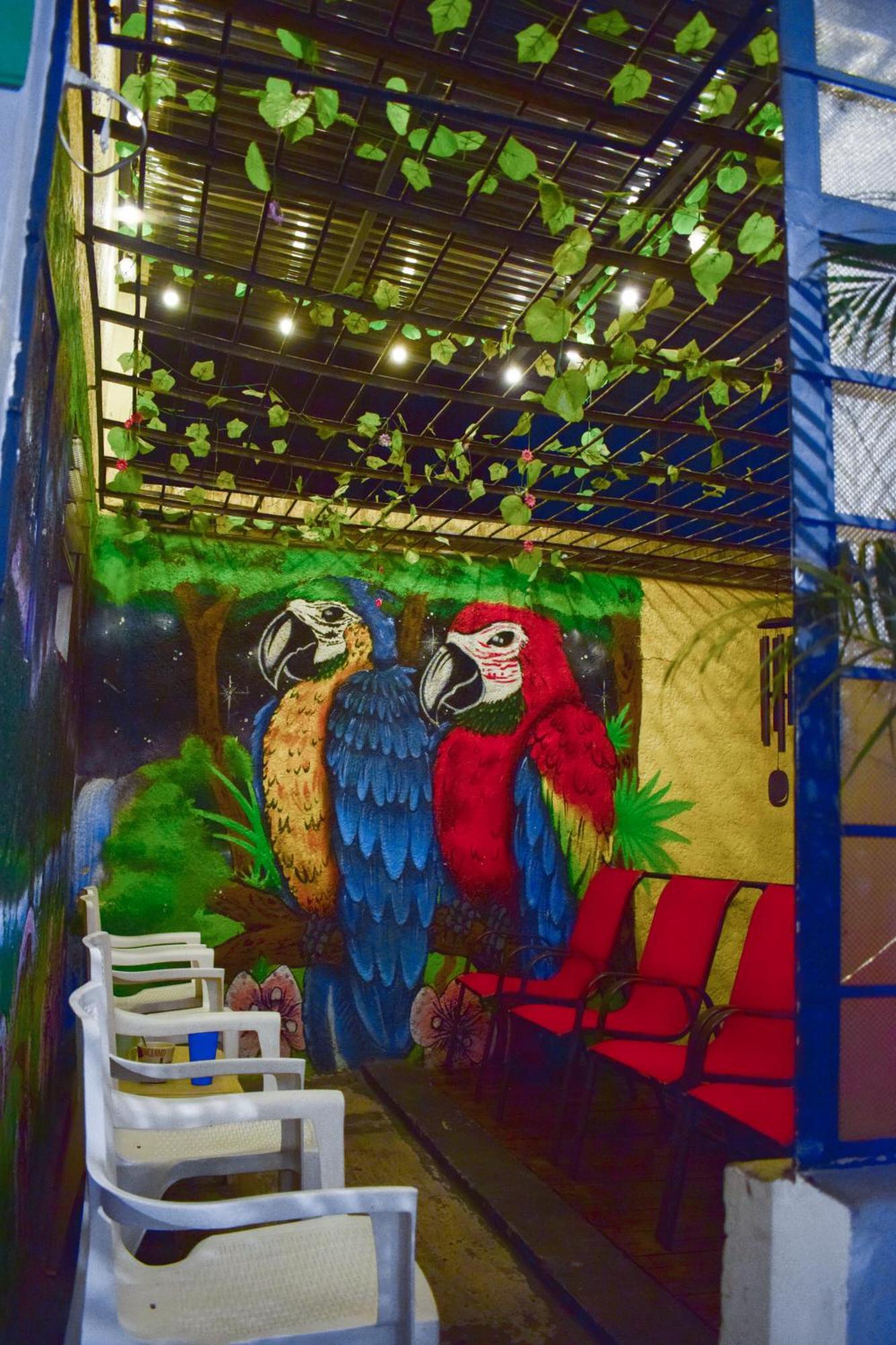 Key West Hostel Medellín Exteriör bild